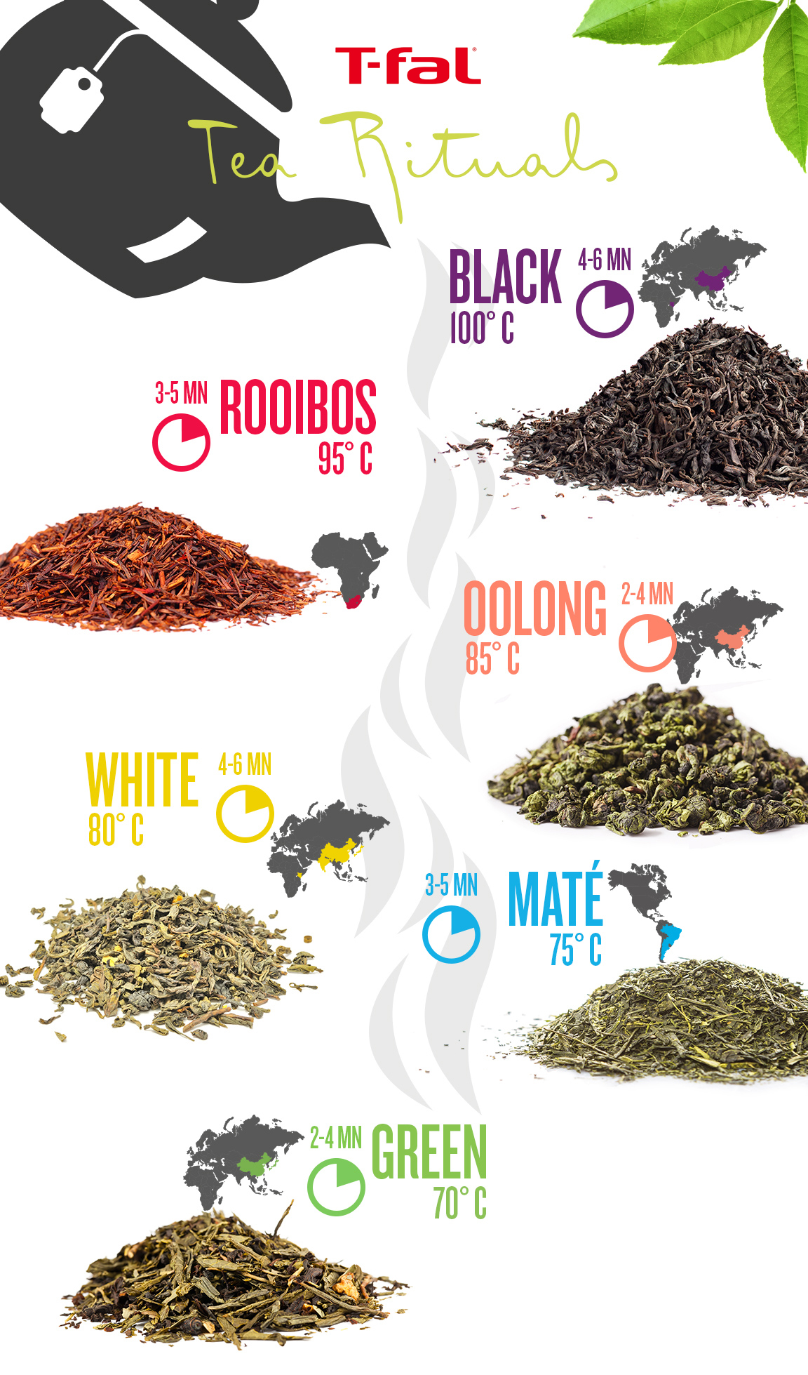 Guide to Brewing Tea